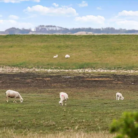 0286-romo-sonder-frankel-34 *