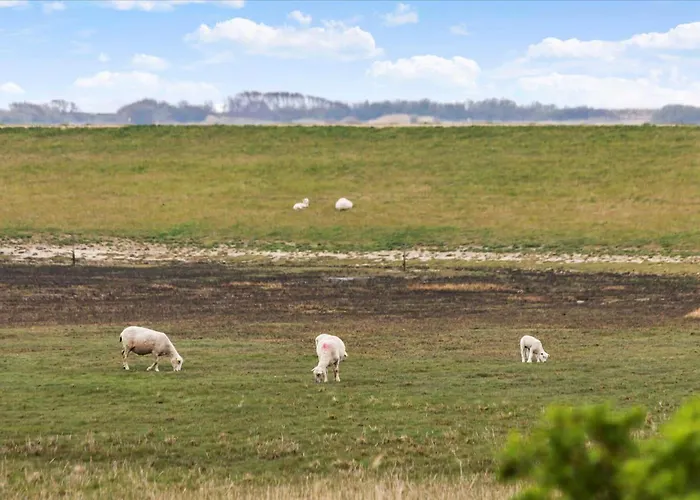 Nyaraló 0286-romo-sonder-frankel-34